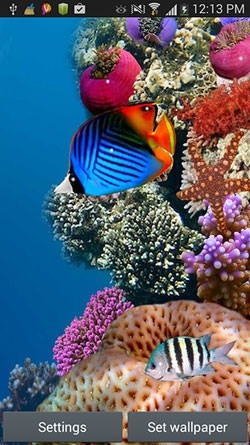 Aquarium Android Wallpaper Image 1