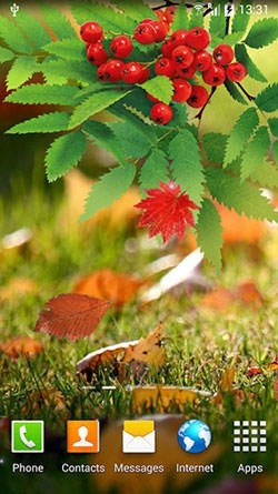 Autumn Android Wallpaper Image 2