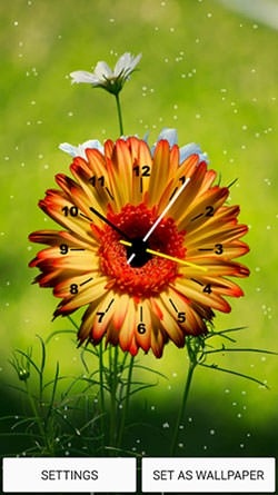 Flowers Clock Android Wallpaper Image 1