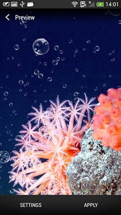 Coral Reef Android Wallpaper Image 1