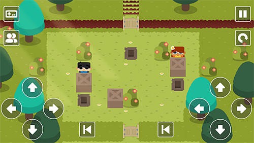 Sokoban Land DX Android Game Image 1