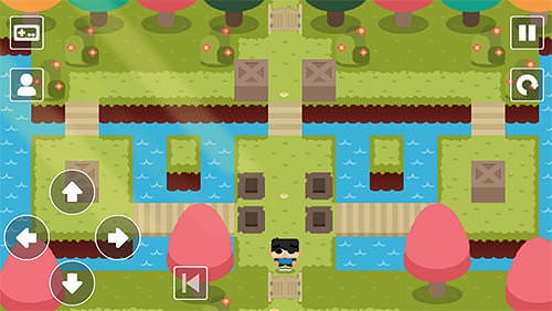 Sokoban Land DX Android Game Image 2