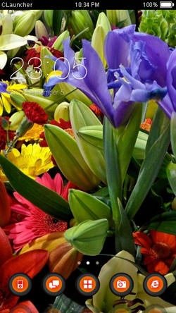 Flowers CLauncher Android Theme Image 1