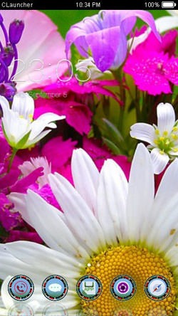 Flowers CLauncher Android Theme Image 1