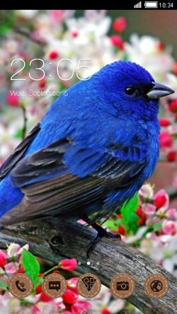 Finch CLauncher Android Theme Image 1