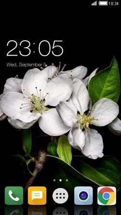 White Flowers CLauncher Android Theme Image 1