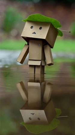 Danbo Android Wallpaper Image 2
