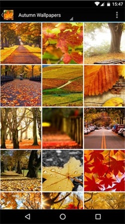 Autumn Android Wallpaper Image 1