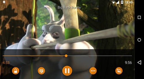 VLC Media Player Android Application Image 2