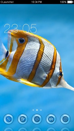 Butterfly Fish CLauncher Android Theme Image 1