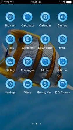 Butterfly Fish CLauncher Android Theme Image 2