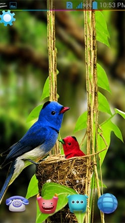 Birds 3D Android Wallpaper Image 1