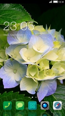 Flowers CLauncher Android Theme Image 1