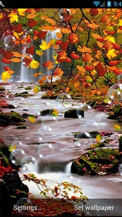 Autumn Android Wallpaper Image 2