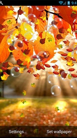 Autumn Android Wallpaper Image 3