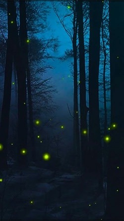 Fireflies Android Wallpaper Image 2