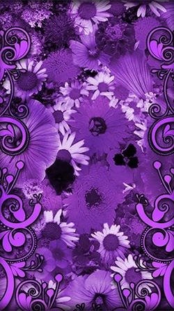 Purple Flowers Android Wallpaper Image 2