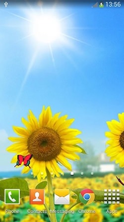 Sunflowers Android Wallpaper Image 2