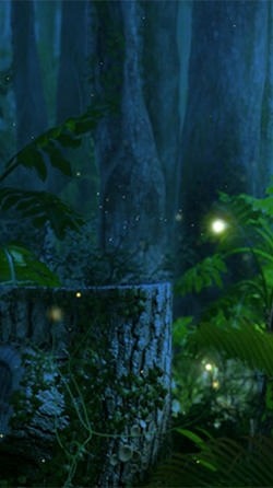 Fireflies Android Wallpaper Image 2