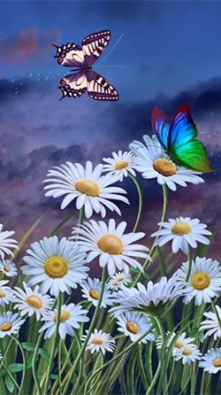 Summer: Flowers And Butterflies Android Wallpaper Image 1