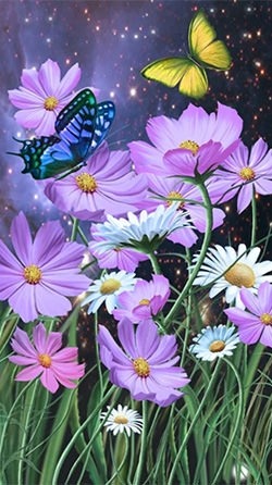 Summer: Flowers And Butterflies Android Wallpaper Image 3