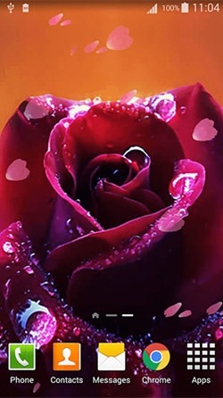 Rose Android Wallpaper Image 1