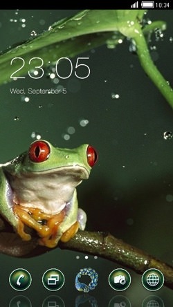 Frog CLauncher Android Theme Image 1