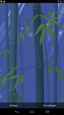 Bamboo Forest Android Wallpaper Image 3