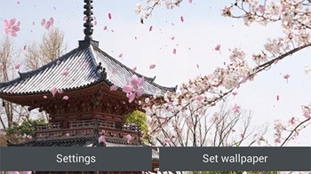 Sakura Garden Android Wallpaper Image 1