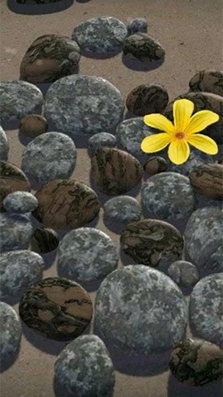 Zen Stones 3D Android Wallpaper Image 1