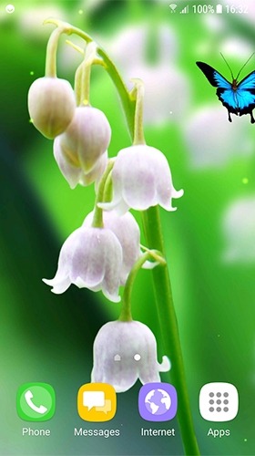 Lilies Of The Valley Android Wallpaper Image 2