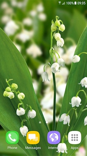 Lilies Of The Valley Android Wallpaper Image 3