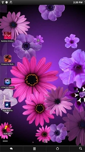 Flowers Android Wallpaper Image 1