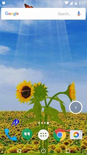 Sunflower 3D Android Wallpaper Image 2
