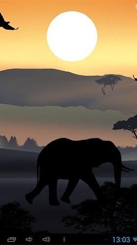 African Sunset Android Wallpaper Image 4