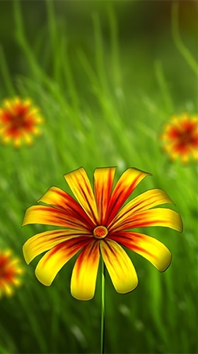 Flower 360 3D Android Wallpaper Image 3