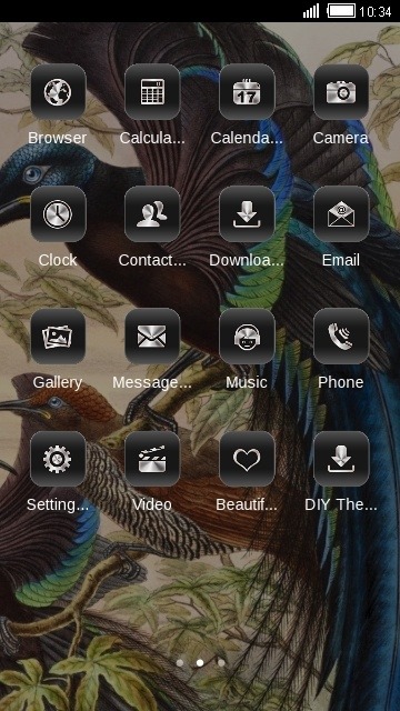 Birds Of Paradise CLauncher Android Theme Image 2