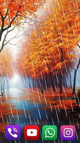 Autumn Rain Android Wallpaper Image 1