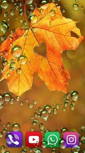 Autumn Rain Android Wallpaper Image 3