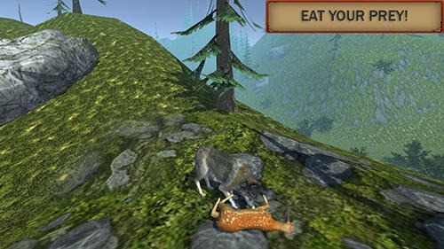 Wolf Simulator Evolution Android Game Image 4