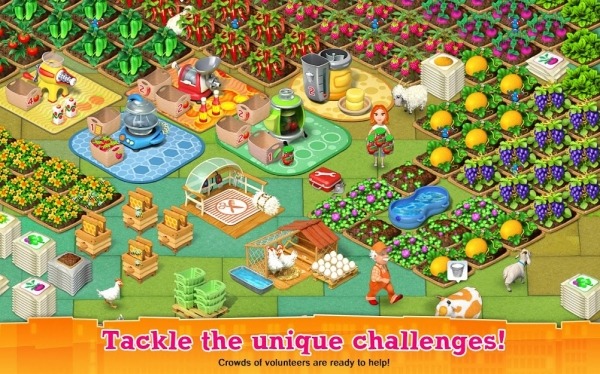 Hobby Farm Show 2 (Free) Android Game Image 4