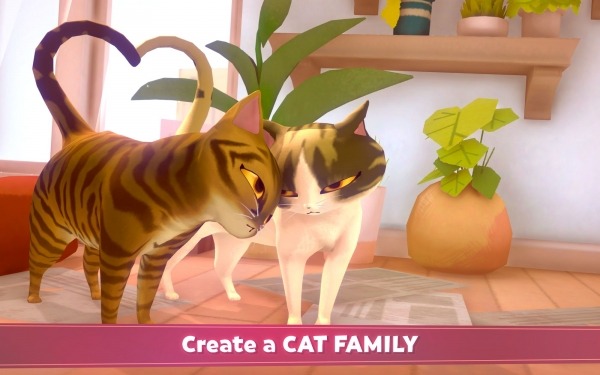 My Cat Club Android Game Image 1