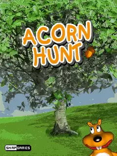 Acorn Hunt Java Game Image 1