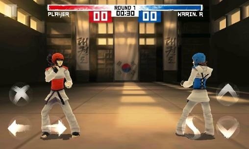 The Taekwondo Game: Global Tournament Android Game Image 3