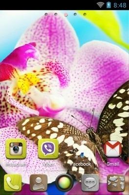 Butterfly Go Launcher Android Theme Image 2