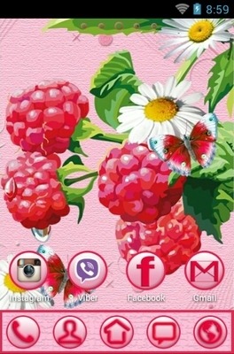 Berries Go Launcher Android Theme Image 2