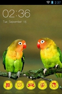 Love Birds CLauncher Android Theme Image 1