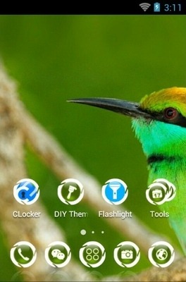 Green Bee Eater CLauncher Android Theme Image 2