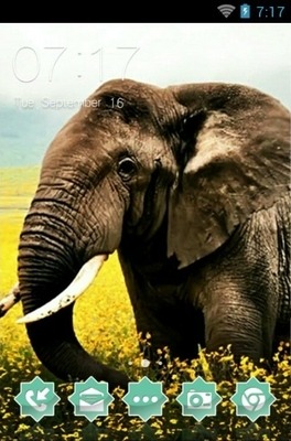 Indian Elephant CLauncher Android Theme Image 1