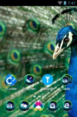 Peafowl CLauncher Android Theme Image 2